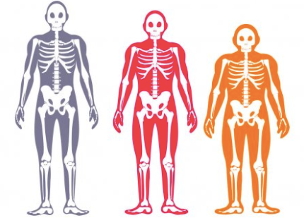 Do "Body Types" Matter During Pregnancy?
